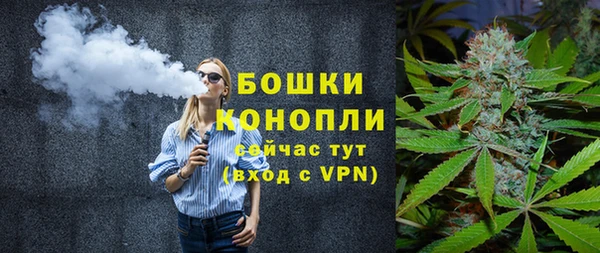 марихуана Новозыбков