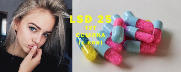 СК Новодвинск