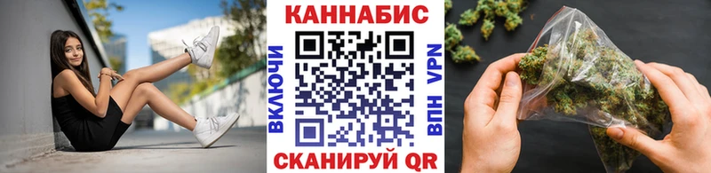 Бошки марихуана план  Бакал 